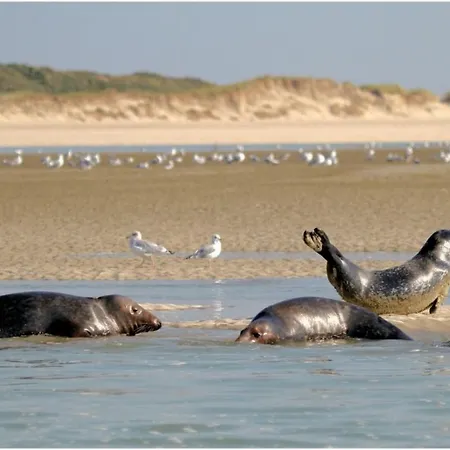 דירה 4-6 Pers Berck-plage Hyper-centre *