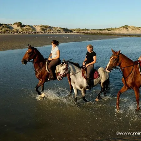 דירה 4-6 Pers Berck-plage Hyper-centre