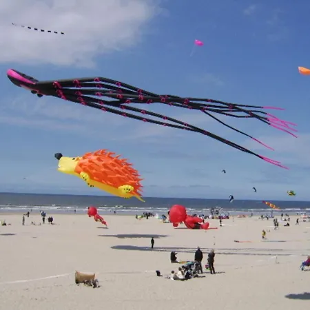 דירה 4-6 Pers Berck-plage Hyper-centre