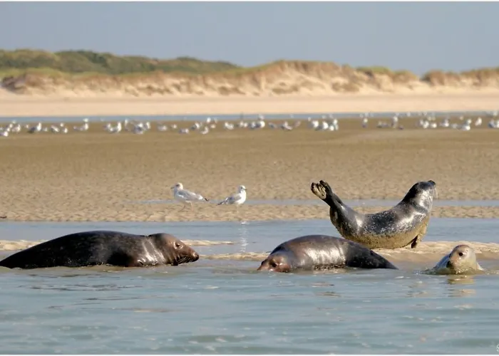شقة 4-6 Pers Berck-plage Hyper-centre *